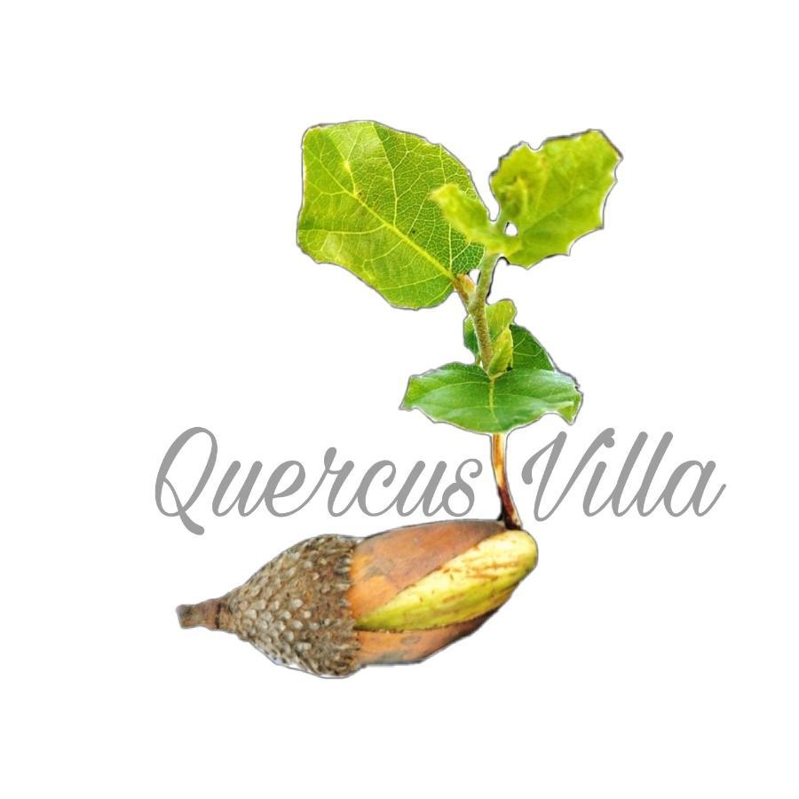 Quercus Villa Sesimbra Exterior foto